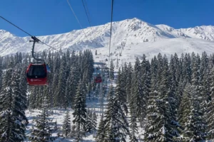 The Gulmarg Gondola cabin rising above snowy forests in Kashmir