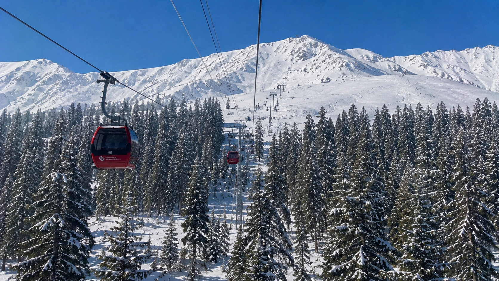 The Gulmarg Gondola cabin rising above snowy forests in Kashmir