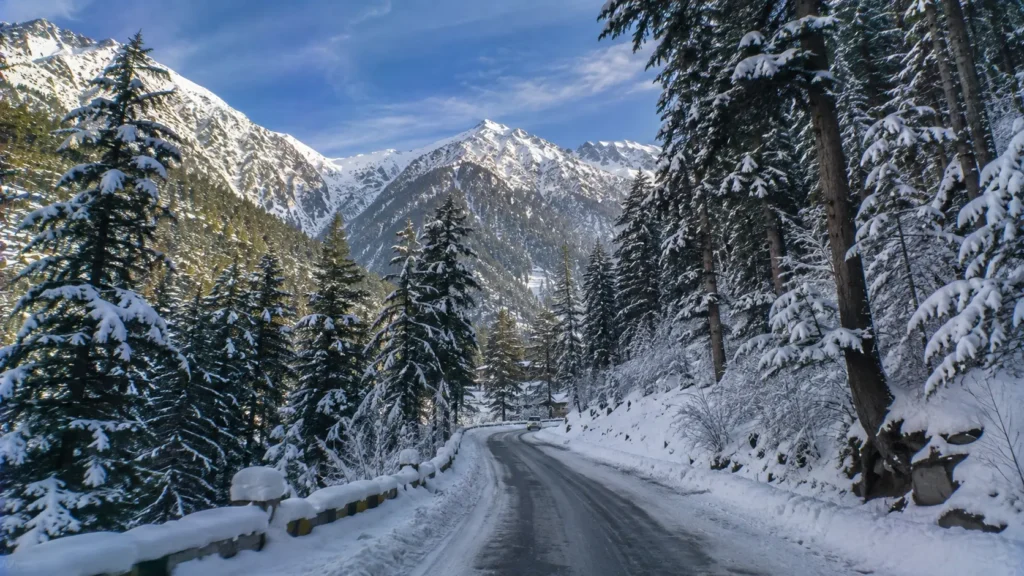 Scenic snowy deodar forest road in Solang Valley near Manali